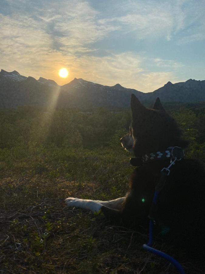 Nydelig Leilighet Pa Kreta I Lofoten Kabelvåg Esterno foto